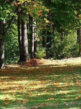 Hotel Cabins And Campground At Cultus Lake Park Chilliwack Exteriér fotografie